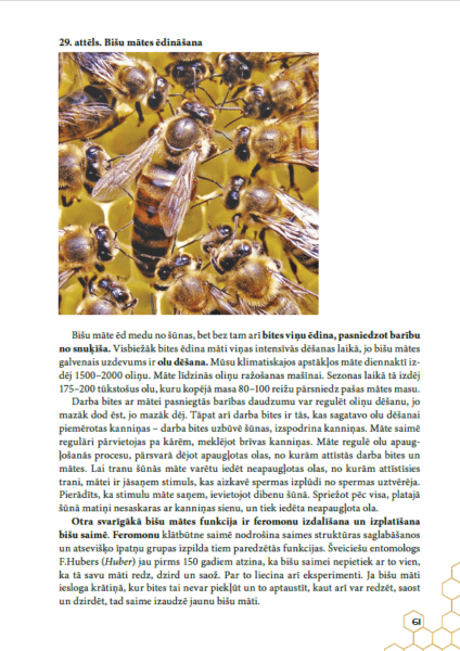 Bišu saimes bioloģija (IZDRUKĀTS)